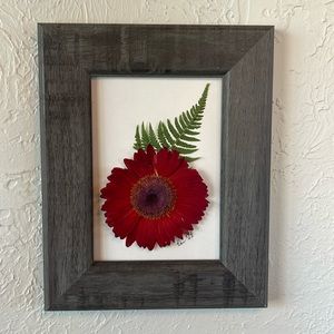Dried Pressed Floral Wall Art. Deep Red Daisy with Fern, Wood Frame